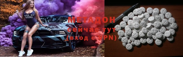 прущие грибы Вяземский