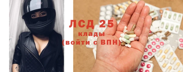прущие грибы Вяземский