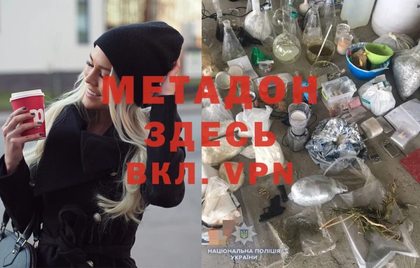 прущие грибы Вяземский