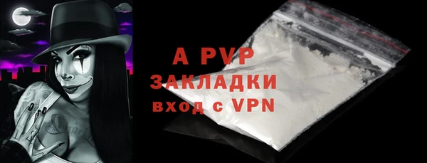 прущие грибы Вяземский