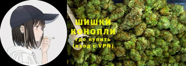 прущие грибы Вяземский